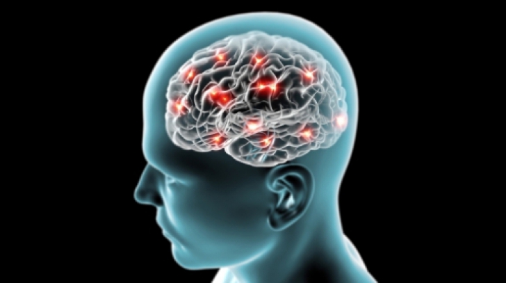 Regiunea din creier responsabilă de instalarea schizofreniei şi a bolii Alzheimer, identificată