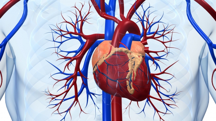 Cei mai periculoși factori care-ți atacă inima