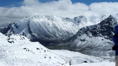 Fenomen alarmant, la nivel global