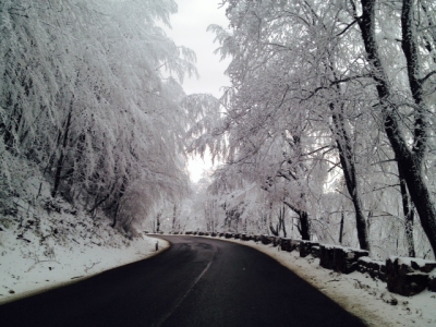 Iarnă de basm, pe culoarul Rucăr-Bran. Foto: Silviu S.