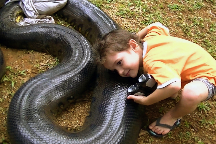 ȘOCANT! A fost înghițit de un ANACONDA. VIDEO