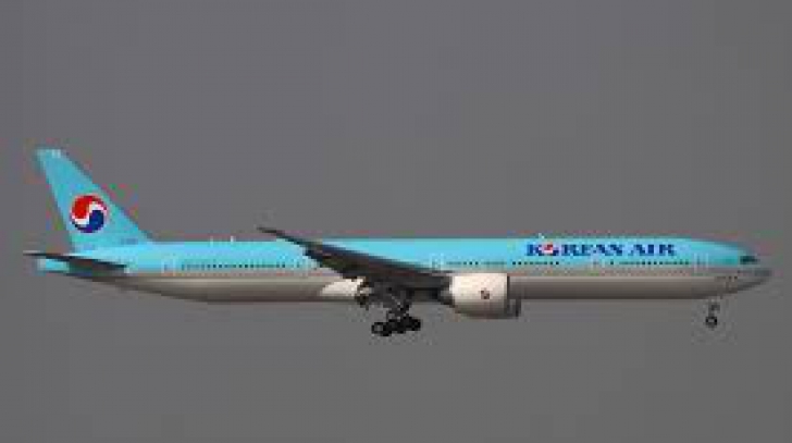 Fiica patronului Korean Air a întors un avion din drum, din cauza modului de servire a aperitivului