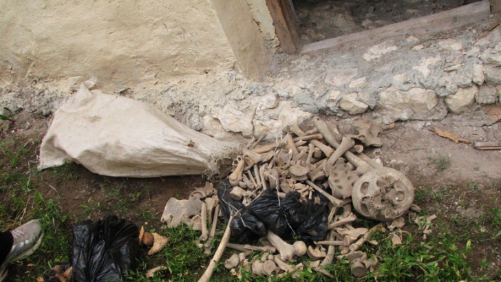 Descoperire macabră în Cluj 