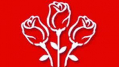 PSD, PNL, PMP, Tăriceanu și Macovei au încălcat legea finanțării partidelor, la prezidențiale