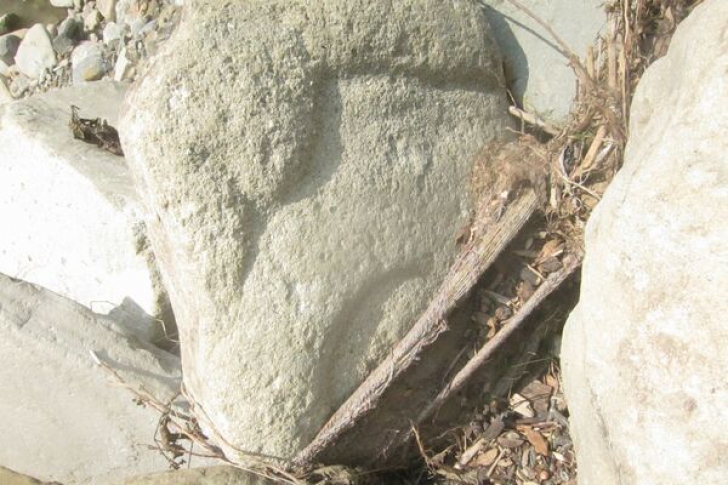 Povestea fascinantă a pietrelor enigmatice din Țara Loviștei