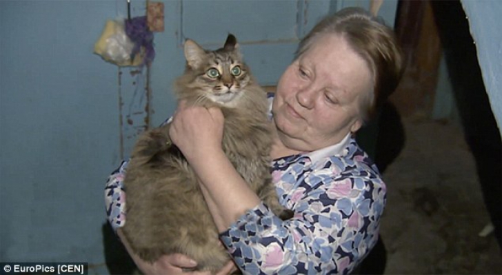 Pisica Maşa, salvatoarea unui bebeluş abandonat