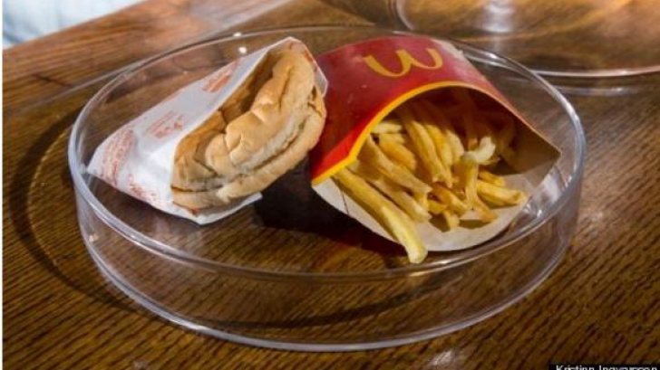 Cum arată un cheeseburger şi nişte cartofi McDonald`s în vârstă de 6 ani