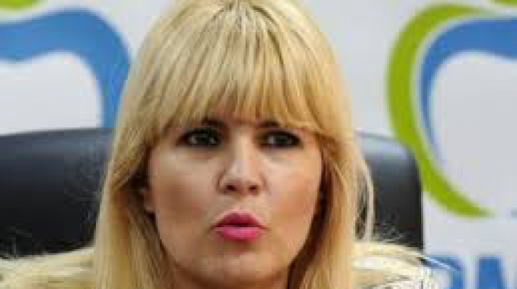 Elena Udrea a decis să se autosuspende din funcția de președinte PMP