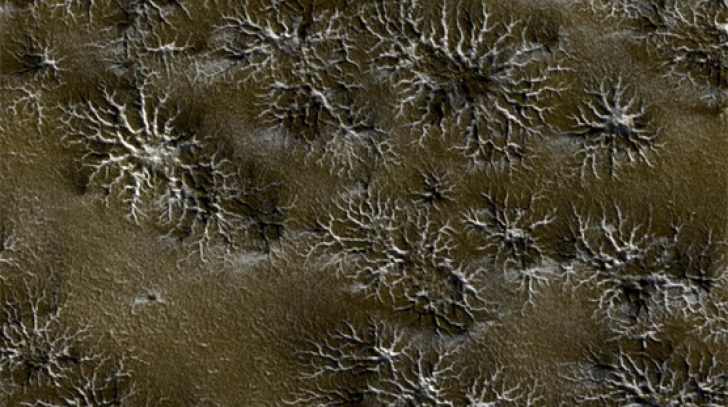 "Păianjenii" de pe Marte: Cercetătorii explică ce sunt aceste formaţiuni bizare