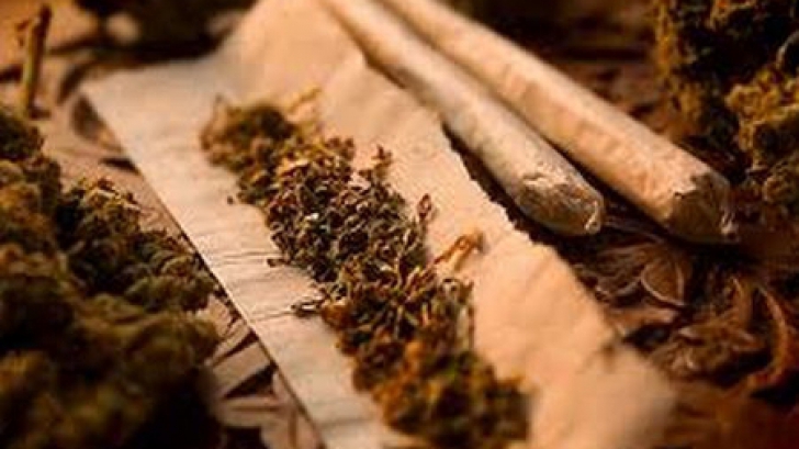 Traficanţi de droguri, prinşi cu aproape 2,5 kilograme de canabis în Autogara Militari din Capitală