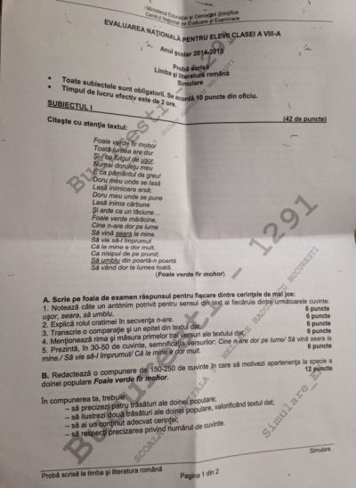 SUBIECTE SIMULARE EVALUARE NAŢIONALĂ 2015. Limba Rom&acirc;nă