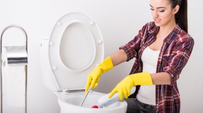 Cum să speli și dezinfectezi corect WC-ul în 3 minute