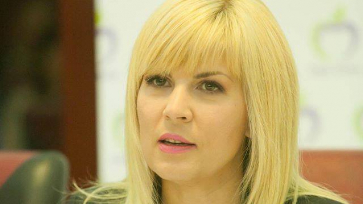 Experientele Elenei Udrea in arest: Celula umilitoare, lagar de concentrare - avocat