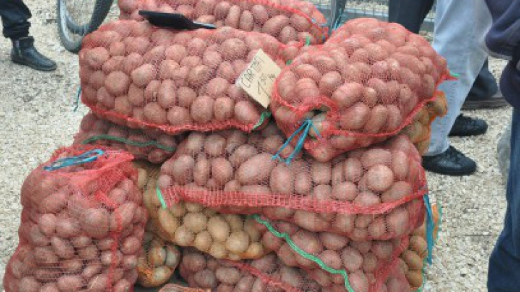 Grenadă, găsită într-un sac de cartofi, de angajaţii unui hipermarket din Slobozia