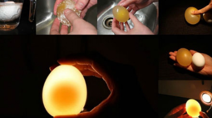 Ce se întâmplă când laşi un ou în oţet pentru 2 zile