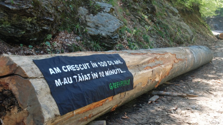 APEL LA BUN-SIMȚ! Cele mai inspirate mesaje din munții României
