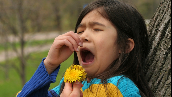 Iată cum poţi diminua simptomele rinitelor alergice