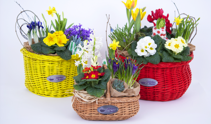 Fabulous Baskets prevestește primăvara (P)
