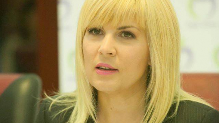 Dosarul Gala Bute. Comisia Juridică va elibera în 3 zile raportul în cazul Elenei Udrea 