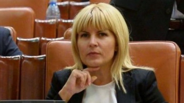 Elena Udrea, postare pe Facebook în timpul votului din plenul Camerei Deputaților 