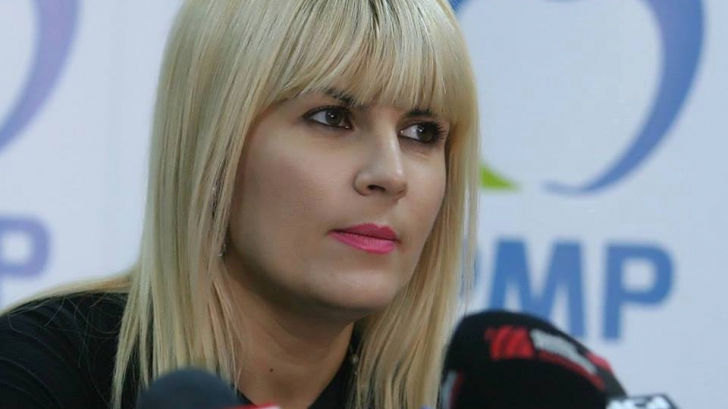 Avocatul Elenei Udrea a dezvăluit ce a cerut Comisiei Juridice, față de arestarea deputatului