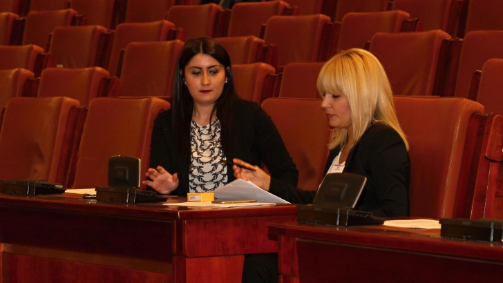 Ce deputați au venit la Elena Udrea, să îi adreseze câteva cuvinte, înainte de vot
