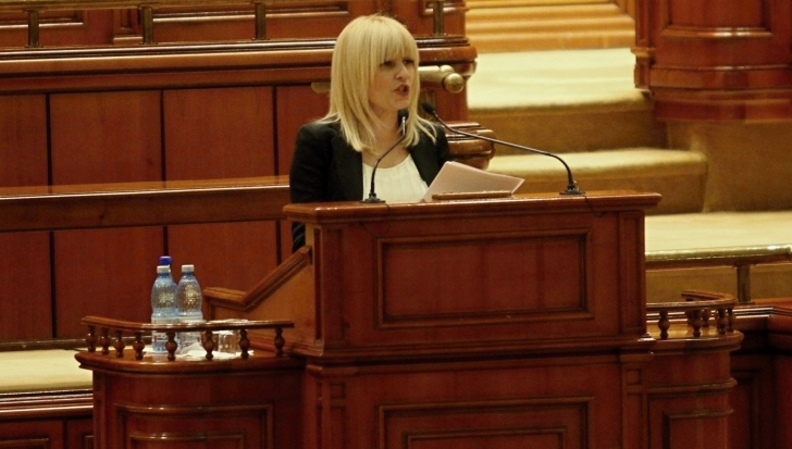 Elena Udrea află miercuri dacă va fi arestată. Avocaţii contestă avizul dat de parlamentari