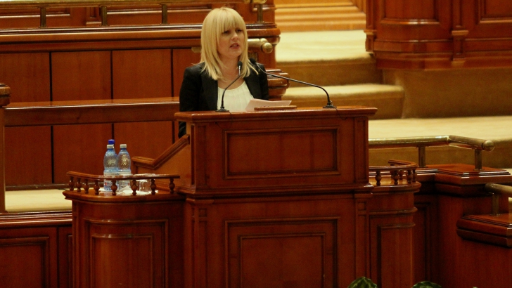 Deputații au votat pentru extinderea urmăririi penale a Elenei Udrea în dosarul Gala Bute