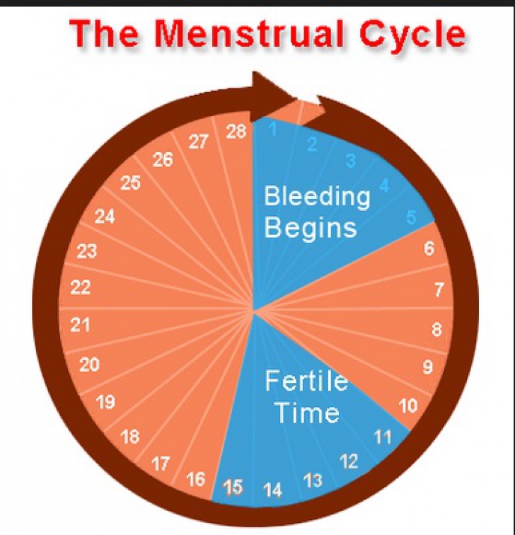 2 lucruri importante pe care orice femeie trebuie să le știe despre ciclul menstrual