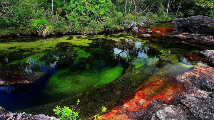 Un râu cum NU ai mai văzut. „Curcubeul lichid” care strălucește în culori superbe