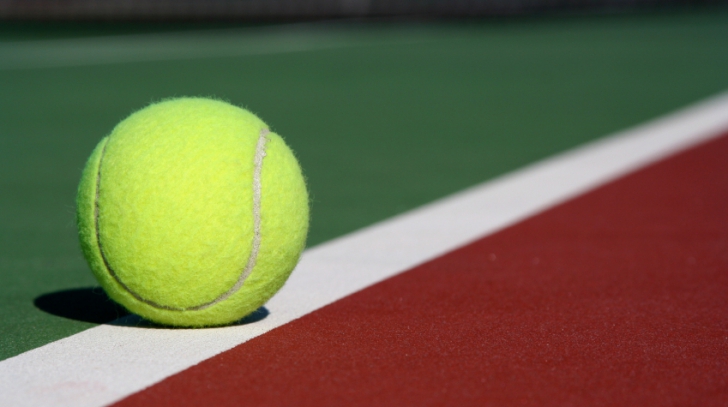 Martina Hingis şi Leander Paes au câştigat Australian Open la dublu mixt