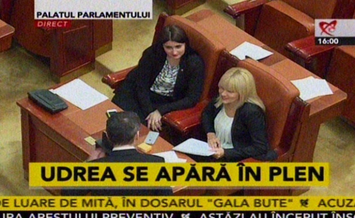 Elena Udrea a ajuns la Parlament