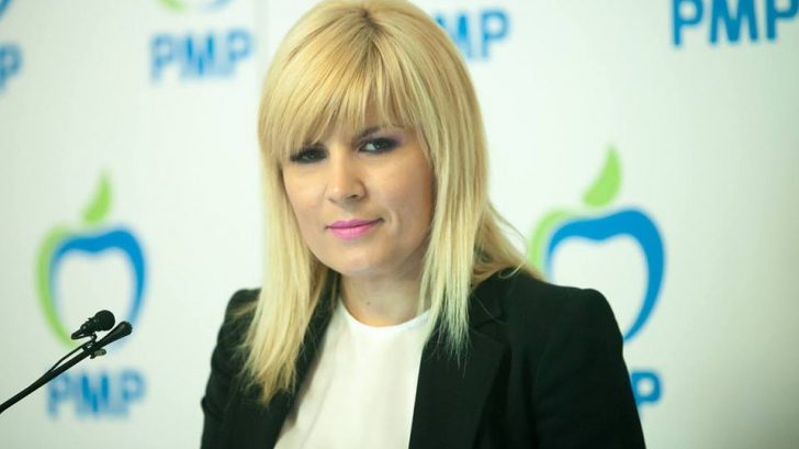 Comisia Juridică, aviz favorabil pentru începerea urmăririi penale a Elenei Udrea