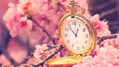 PRIMA ZI A PRIMĂVERII 2015. Ce &icirc;nseamnă ECHINOCȚIUL DE PRIMĂVARĂ