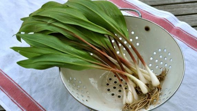 Leurda, leacul din lunile de primăvară. Cum opreşte procesul de &icirc;mbătr&acirc;nire