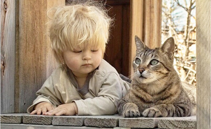 Cele mai frumoase fotografii cu pisici şi copii