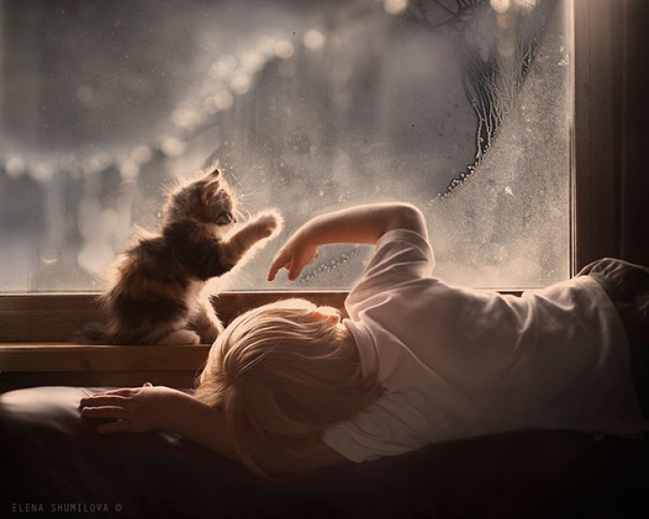 Cele mai frumoase fotografii cu pisici şi copii