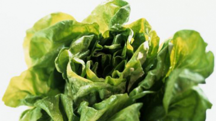 Ce nu ştiai despre salata verde