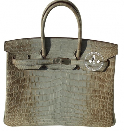 Cum arată geanta Elenei Udrea, de 50 000-100 000 de dolari, din piele de crocodil