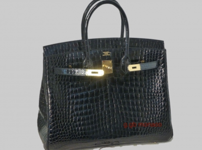 Cum arată geanta Elenei Udrea, de 50 000-100 000 de dolari, din piele de crocodil