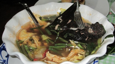 Cele mai ciudate supe din lume: supă din penis de tigru, de sânge proaspăt de rață sau penis de taur