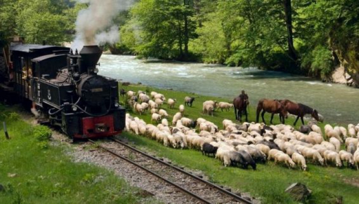 Trenul cu aburi "Mocănița", promovat pe platforma digitală a Google Cultural Institute