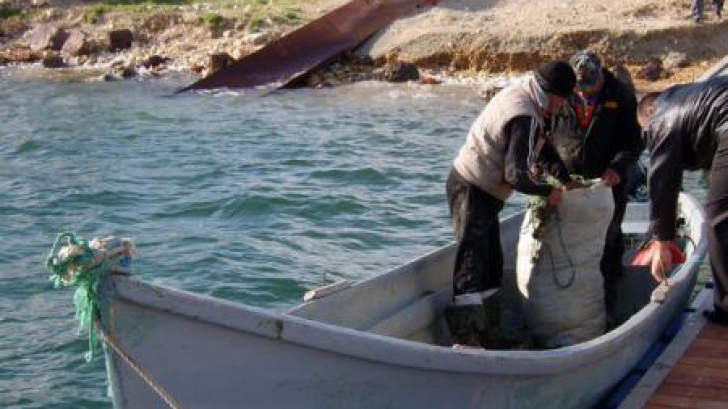 Aproape 3,5 tone de pește, confiscate de polițiști