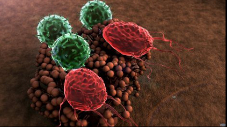 Patru metode simple prin care ne putem întări sistemul imunitar