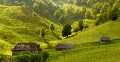 Sate România