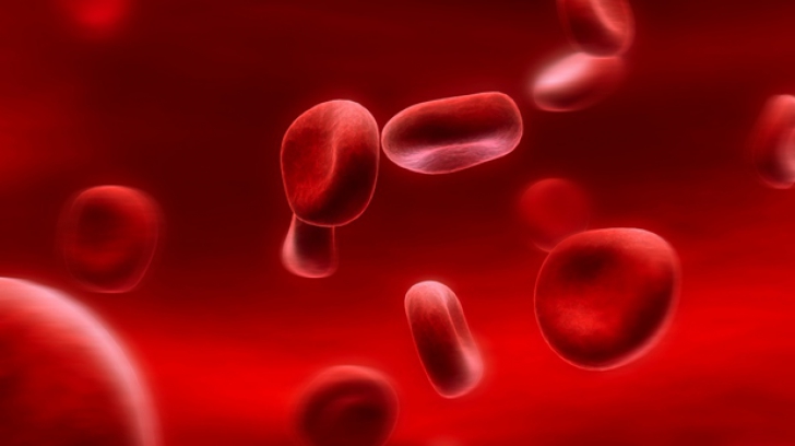 Cercetătorii au reuşit să transforme orice grupă de sânge în "donator universal"
