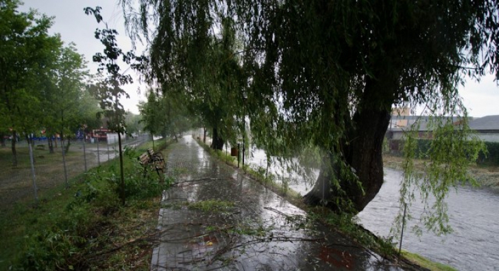 Prăpăd la Arad după vijelie: case inundate, copaci rupți și pene de curent