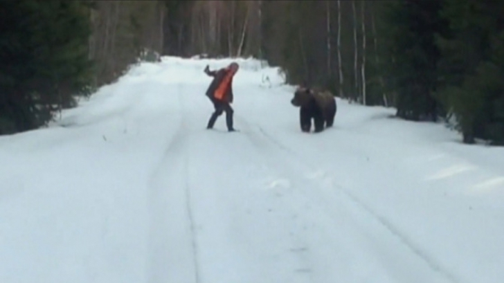 A făcut înconjurul internetului: ce metodă foloseşte un suedez ca să scape de un urs agresiv VIDEO