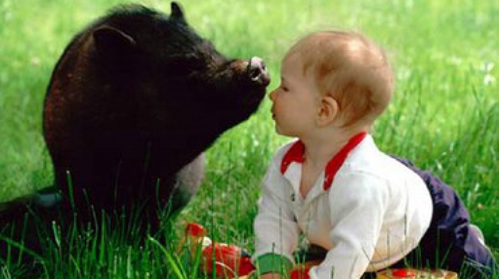 Prietenia dintre copii şi animale este pe atât de sănătoasă, pe cât este de amuzantă