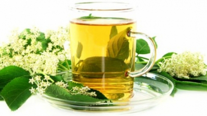Ceaiul de soc – beneficii și proprietăți. Cum prepari ceai de soc